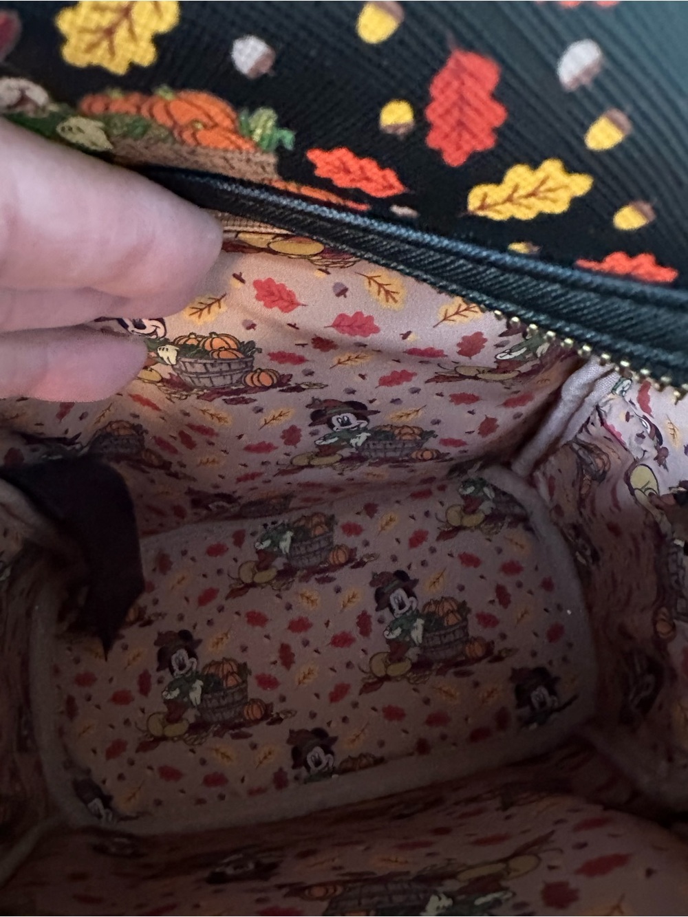 Disney x Loungefly Mickey Pumpkin Harvest Mini Backpack - Black with Fall Print - Picture 4 of 7